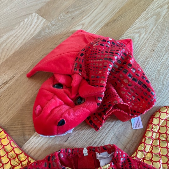 Pottery Barn Dragon Costume - Picture 2 of 12